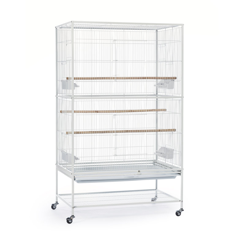Prevue Hendryx Flight Bird Cage with Storage Shelf & Reviews Wayfair